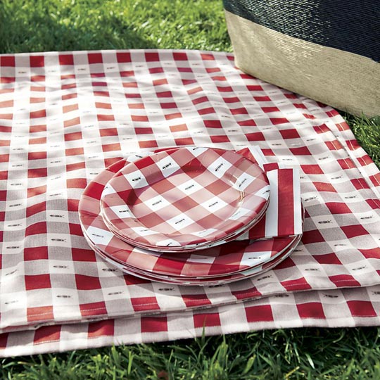 red picnic blanket