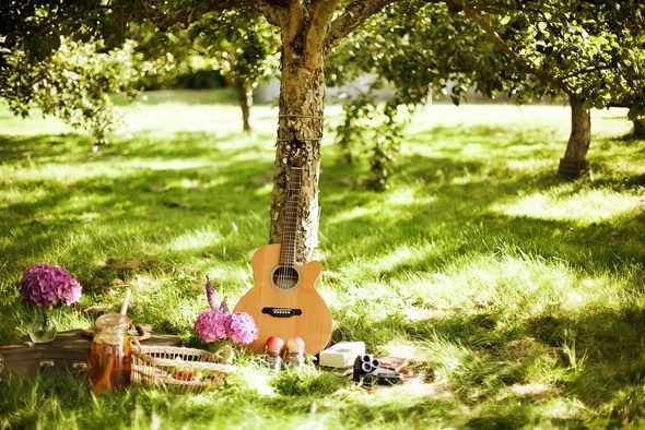 romantic picnic ideas