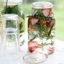 herbal waters with glasses thumbnail