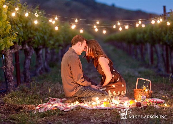 romantic picnic lighting