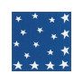 Stars and Stripes Paper Luncheon Napkins thumbnail