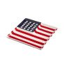 american flag Ceramic Sectional Platter thumbnail