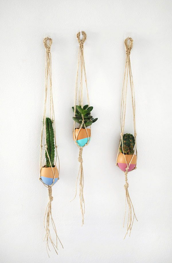 diy Hanging Succulent Garden