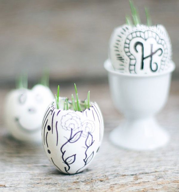 diy eggshell garden