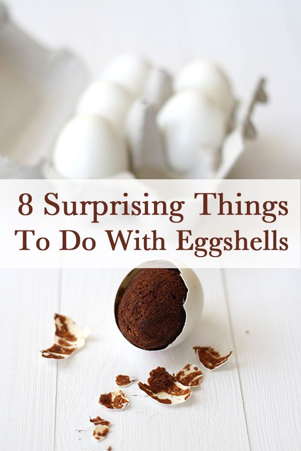 eggshells DIY ideas