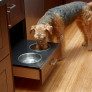 pet feeder drawer thumbnail