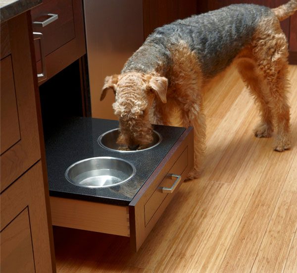 pet feeder drawer