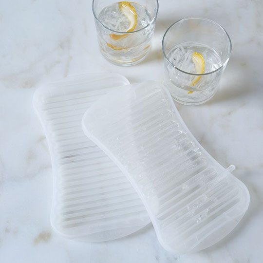 Fun Ice Cube Trays — Eatwell101