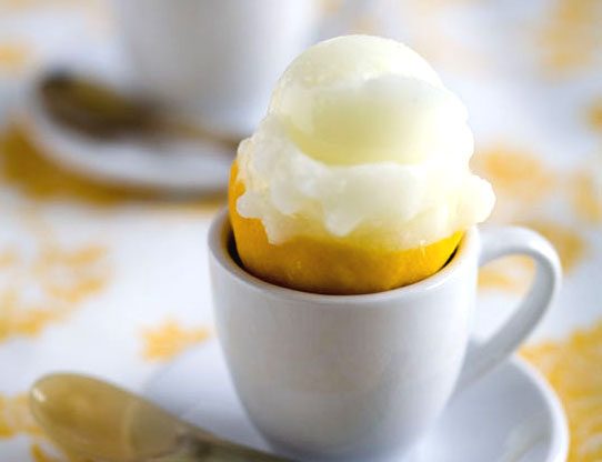 Honey Lemon Sorbet