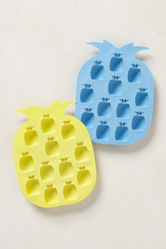 Fun Ice Cube Trays — Eatwell101