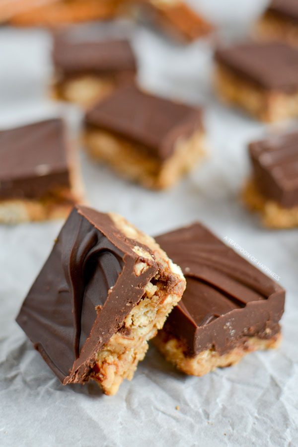 Chocolate Peanut Butter Pretzel Bites