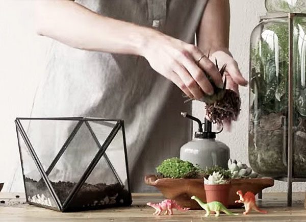 Video: How To Make A Terrarium With Personality