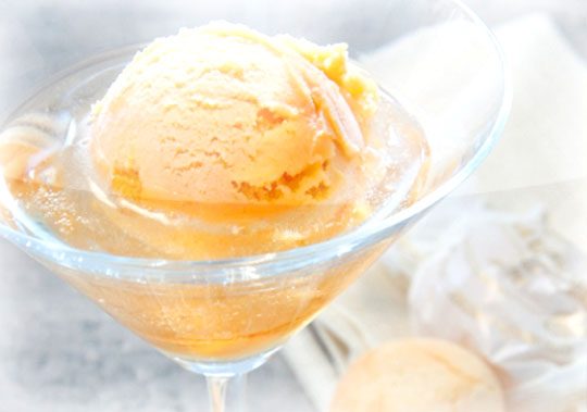 champagne sorbet dessert