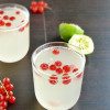 Sparkling Red Currants Limeade thumbnail