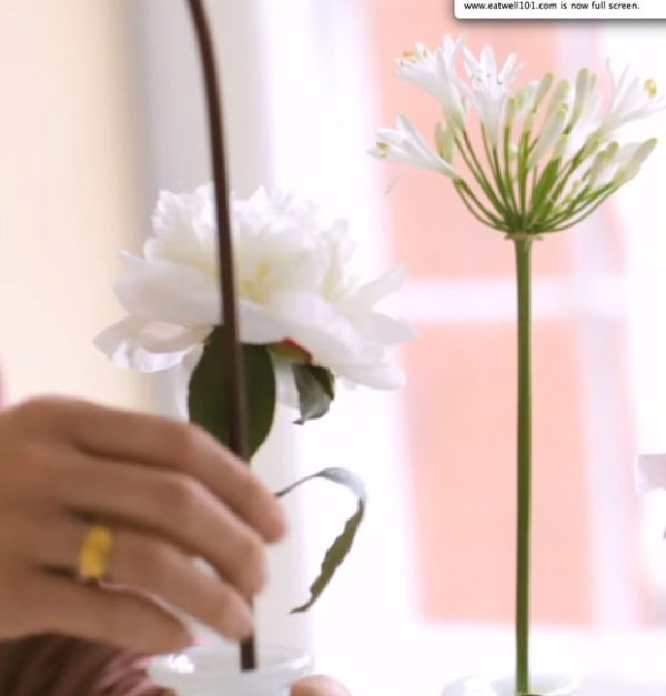 Video: Indoor Garden Design with Shane Powers