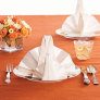 Turkey napkin fold thumbnail