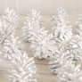 White Painted Pinecones diy thumbnail