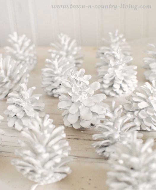 White Painted Pinecones diy