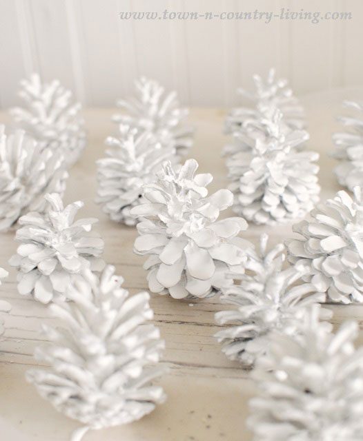 White Painted Pinecones diy