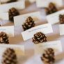 pinecones place cards thumbnail