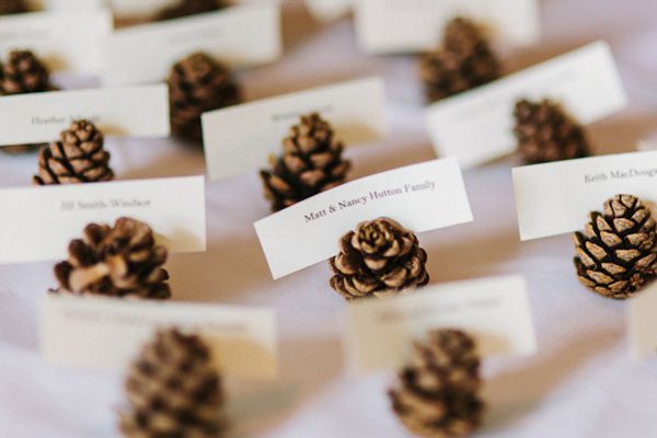 pinecones place cards
