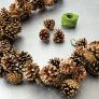 Pinecone Garland thumbnail