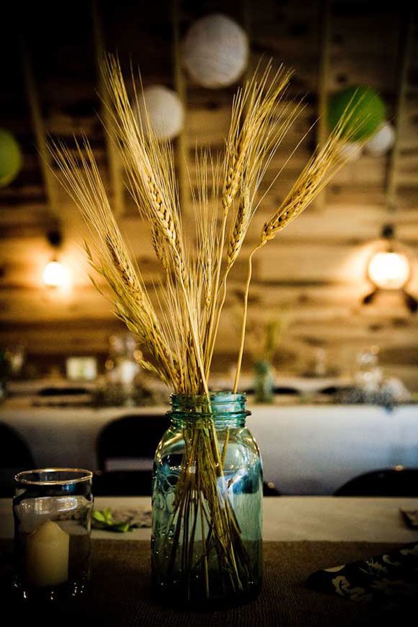 6 Festive Fall Table Decorating Ideas on a Budget