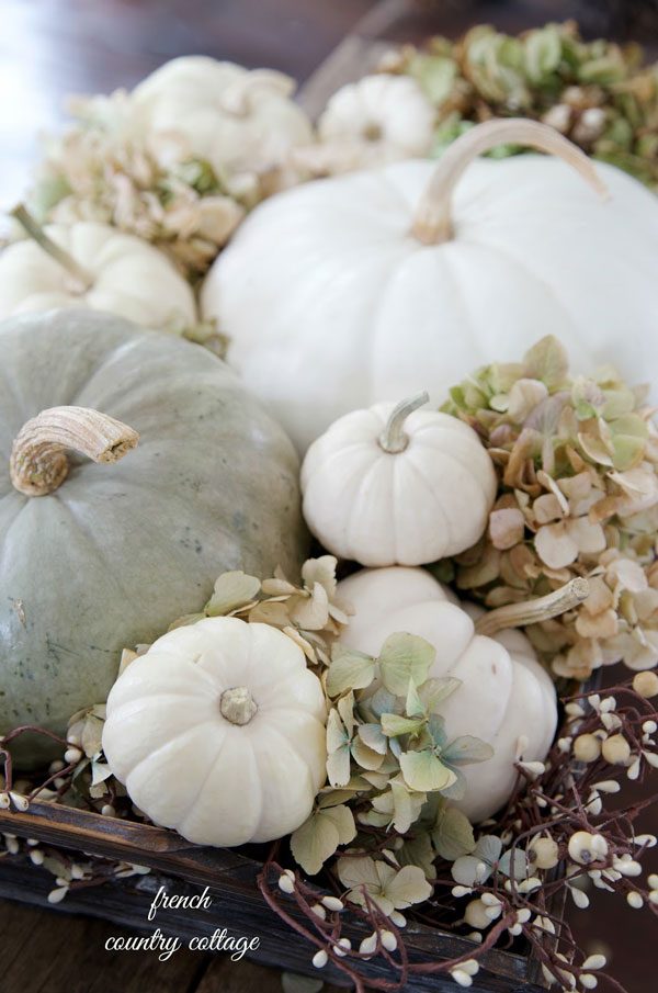 sophisticated thanksgiving decor ideas