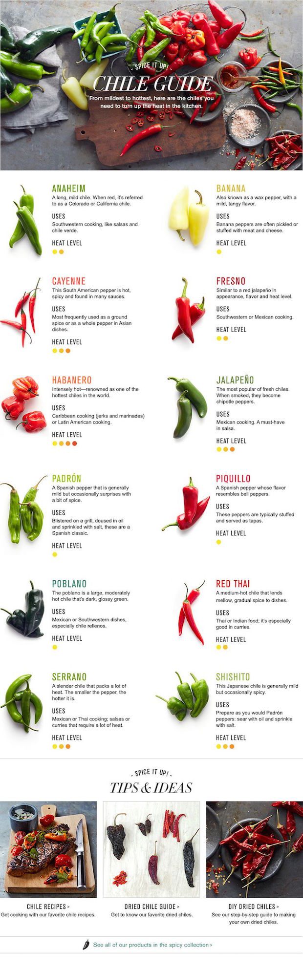 A Guide To Using Chile When You Cook