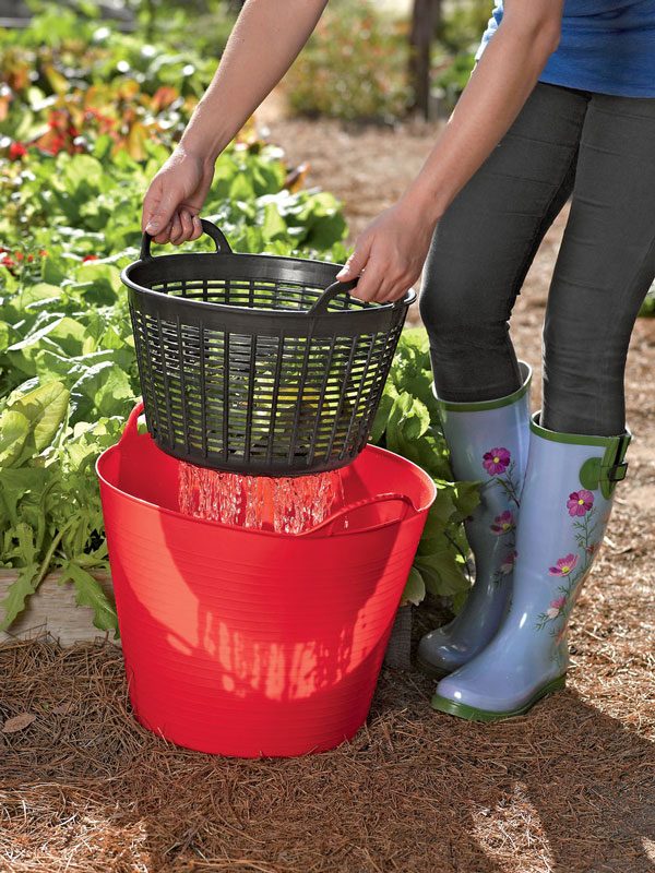 tubtrug colander