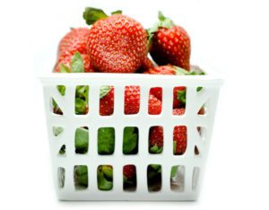 modern fruit basket