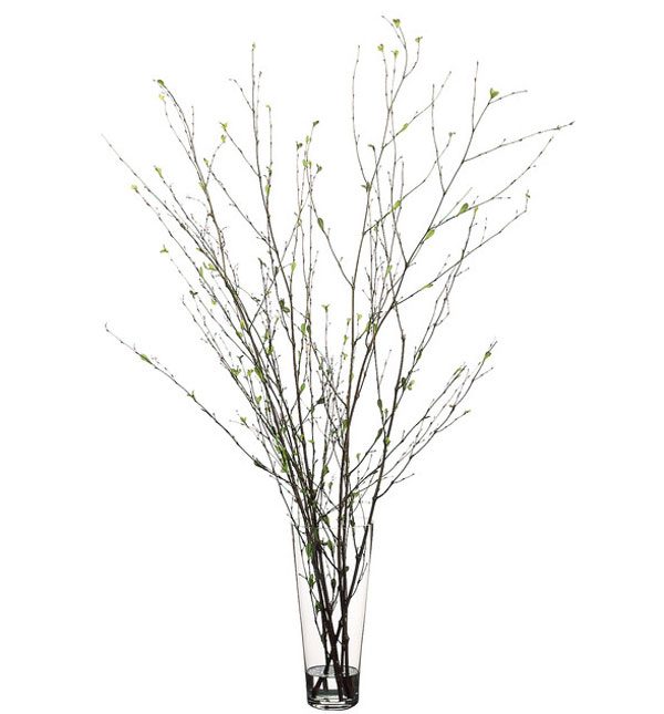 Decorative Branches