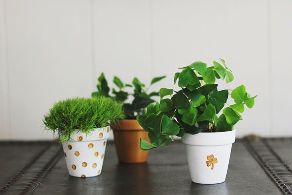 ST PATRICK’S DAY CLAY POT PLANTERS