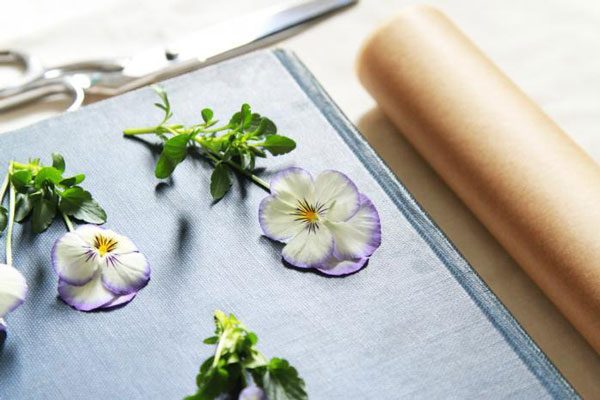 violas bookmark