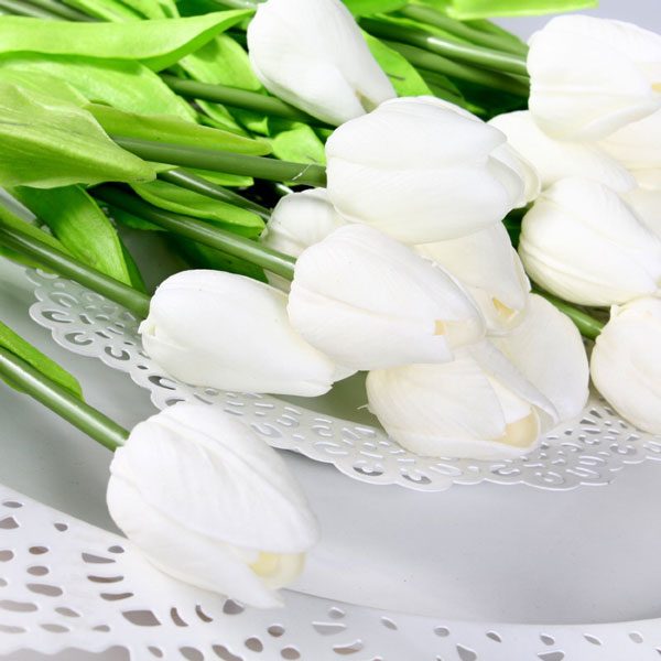 white tulips