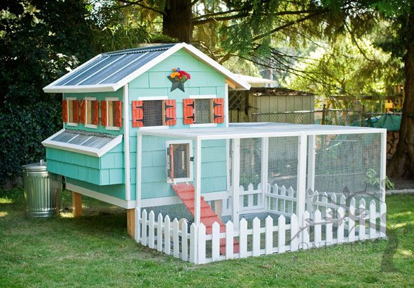 Chicken Coop Ideas