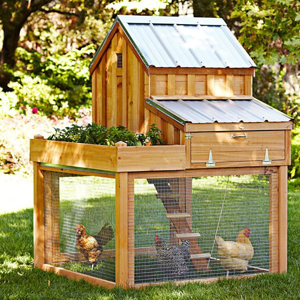 Chicken Coop Inspiration