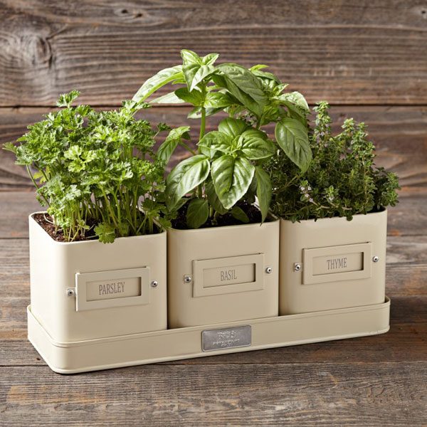 Herb Pot with Tray