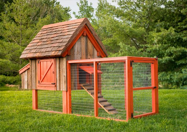 How To Build An Inexpensive Chicken Coop