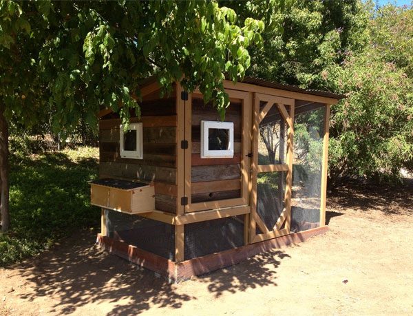 How to build a chicken coop