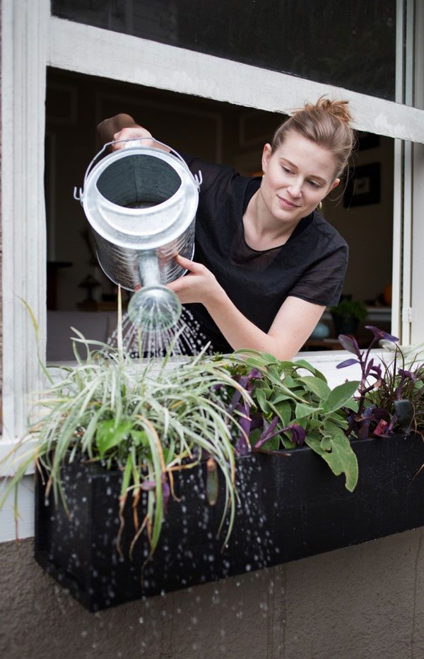 Watering Glossy Black Window Boxes