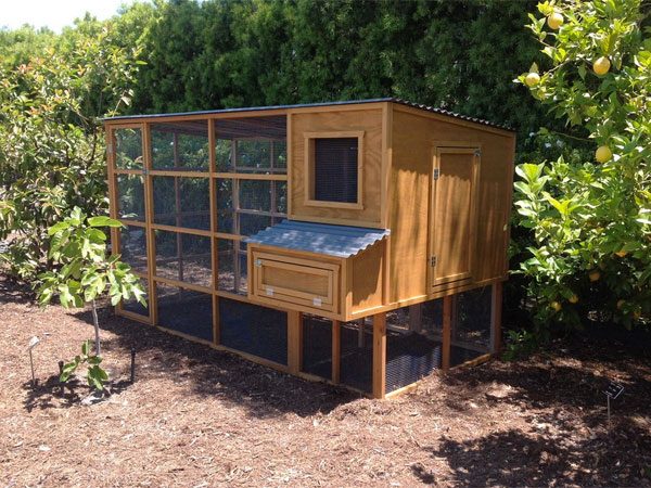 chicken coop design