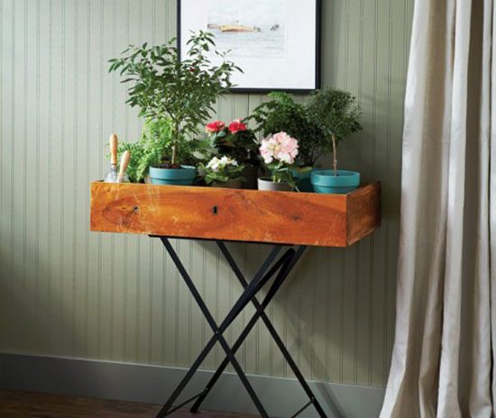 display table for indoor plants