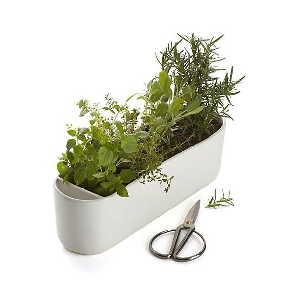 herb planter with scissors