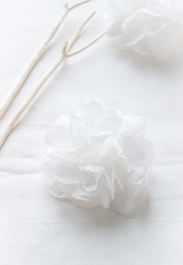 step by step instructions to make tissue paper flowers