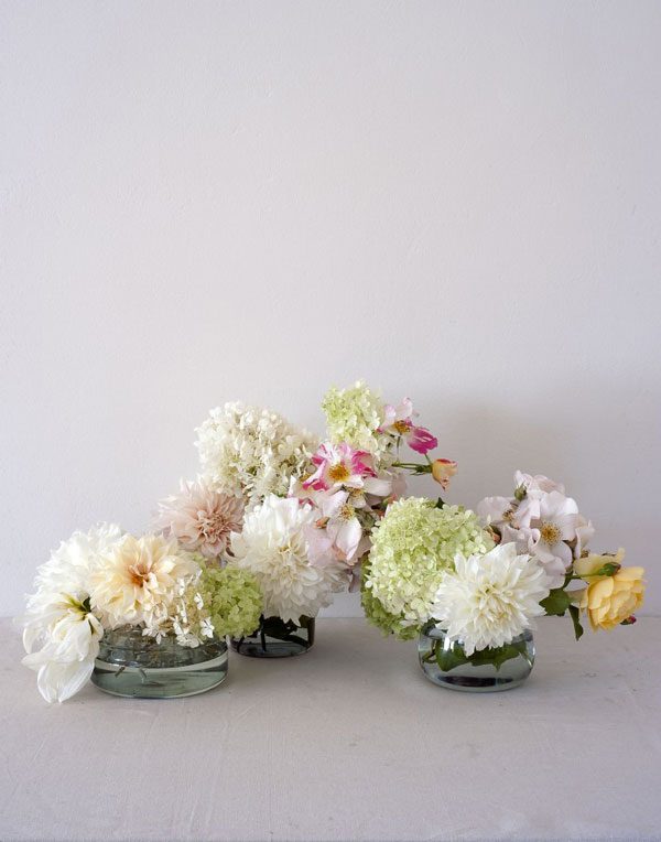 Louesa Roebuck crysanthemum-flower in glass vases