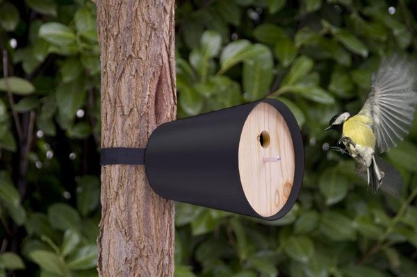 Piep Show Home Bird House