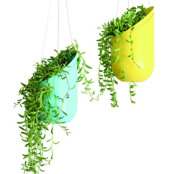 Wallter Hanging Planter