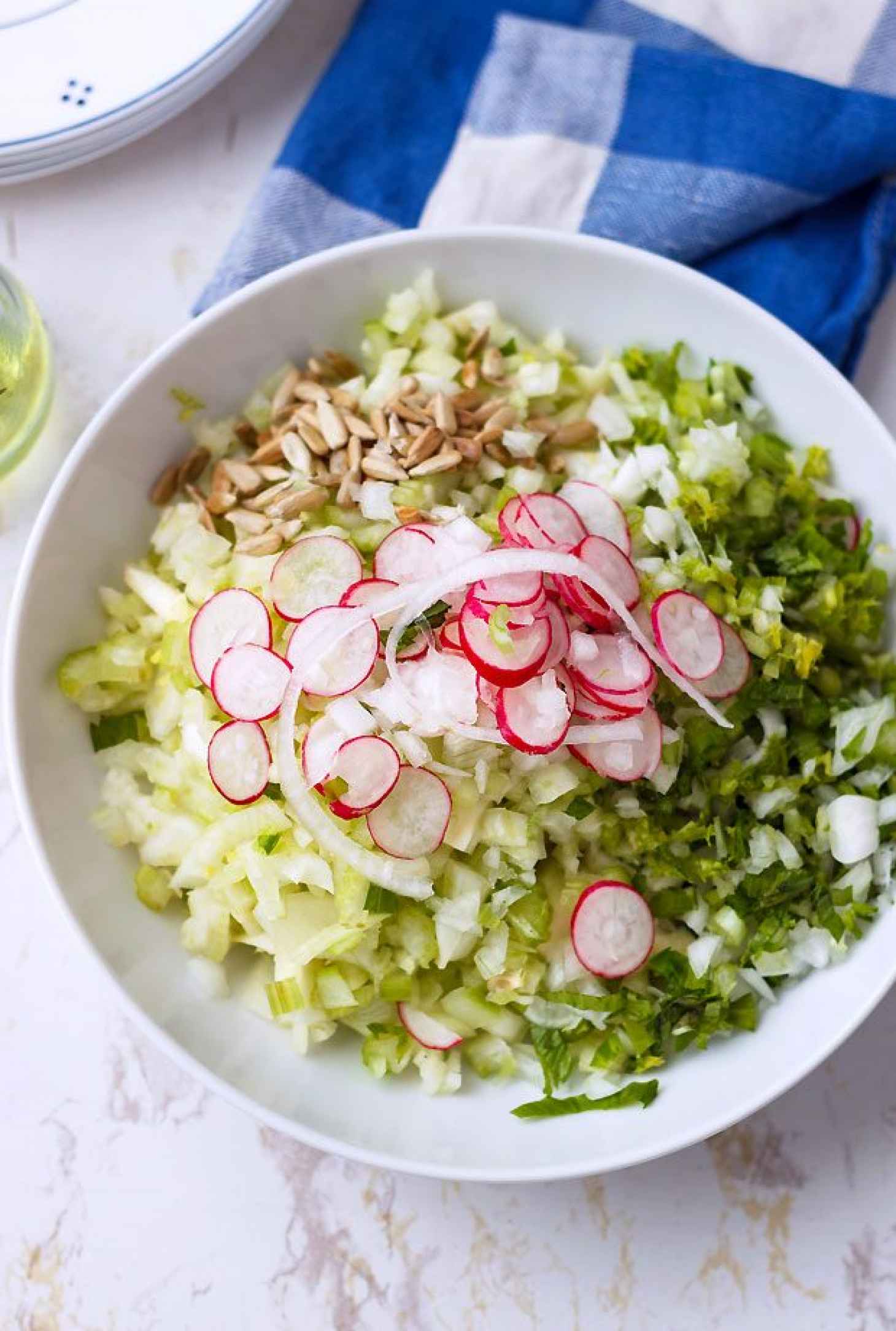 Fennel and Celery Salad - #recipe by #eatwell101 - https://www.eatwell101.com/fennel-celery-and-radish-salad-recipe
