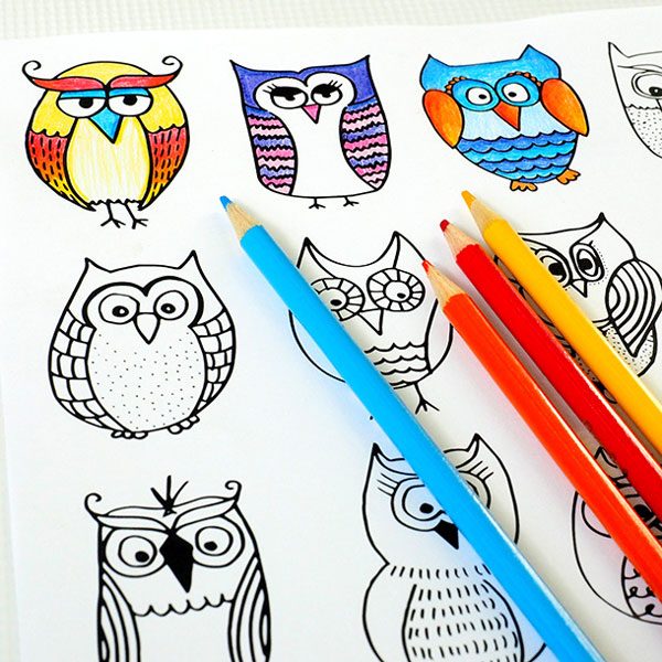 diy coloring owls